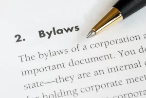 A clipped image showing the term  bylaws and portions of a definition for the word bylaws